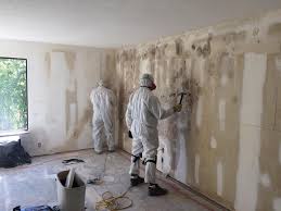 Biohazard Mold Removal in Rome, IL